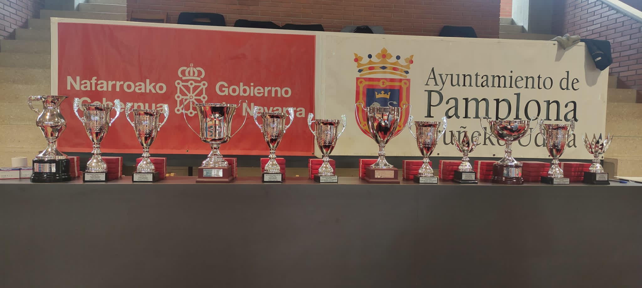 Destacada actuación navarra en el Torneo Nacional de Ranking de espada masculina celebrado en Pamplona